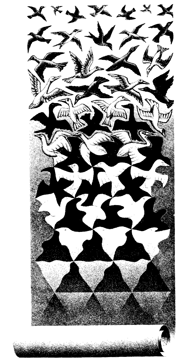 Escher: Liberation