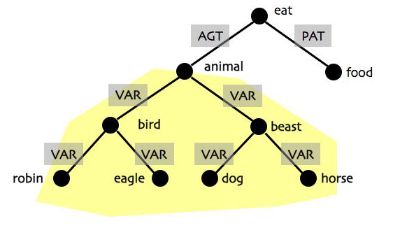 Animals Eat Food